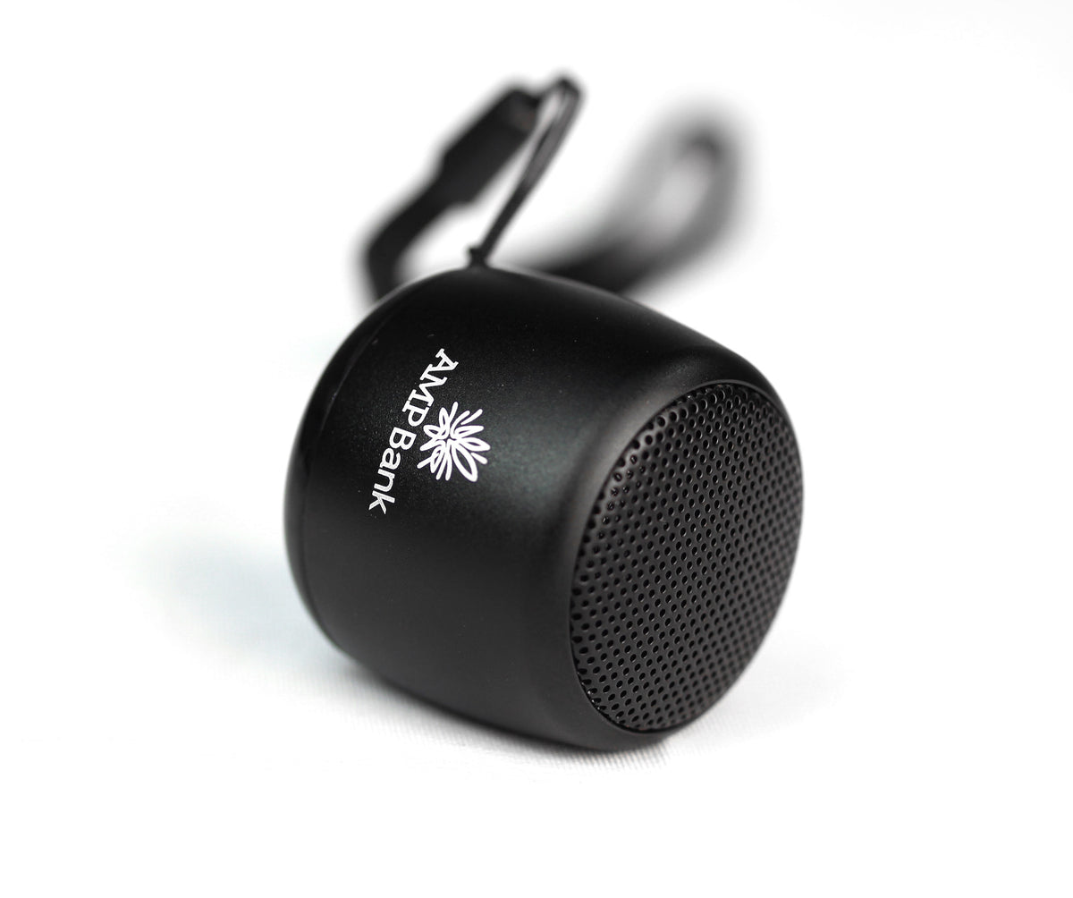 AMP Mini Speaker